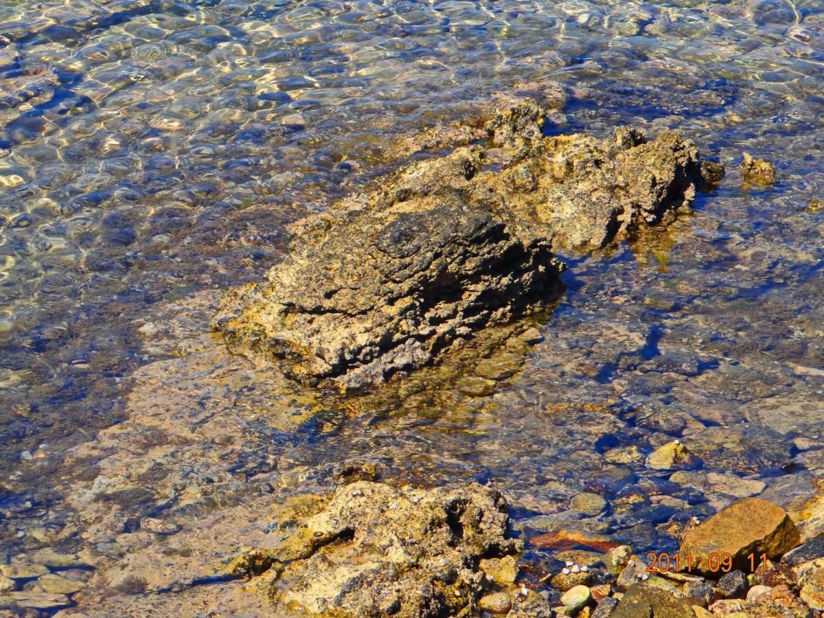 Stone House San Pelegrin Villa Vela Luka Kültér fotó